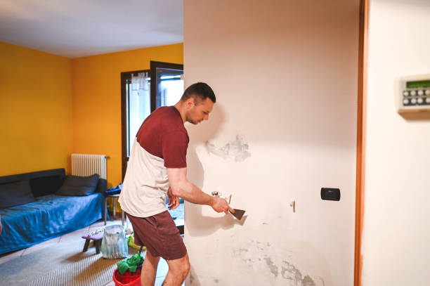 Best Residential Mold Removal  in Bel Air, MD